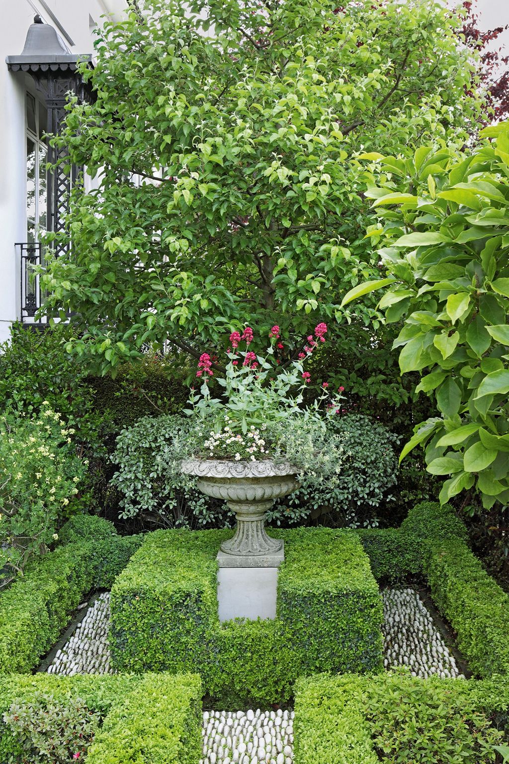 London Villa Box Hedges  English Gardens  Design  Landscaping Ideas