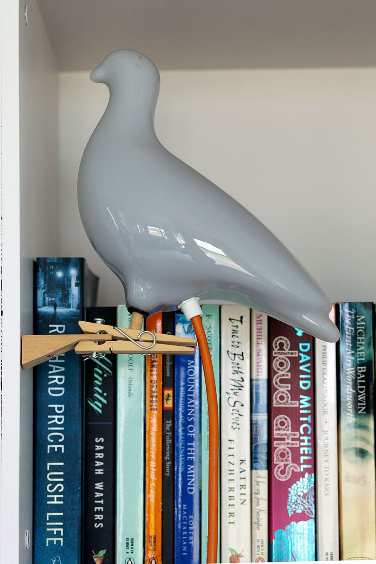 Image may contain Book Furniture Appliance Animal Bird and Shelf