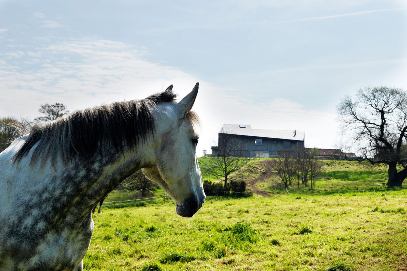 Suffolk Home by Virginia White