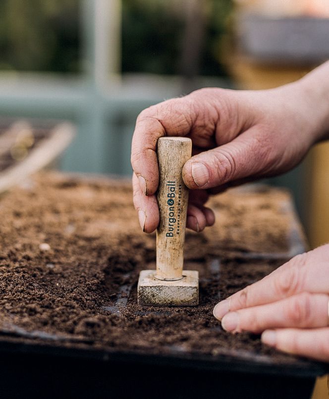 Image may contain Human Person Finger and Soil