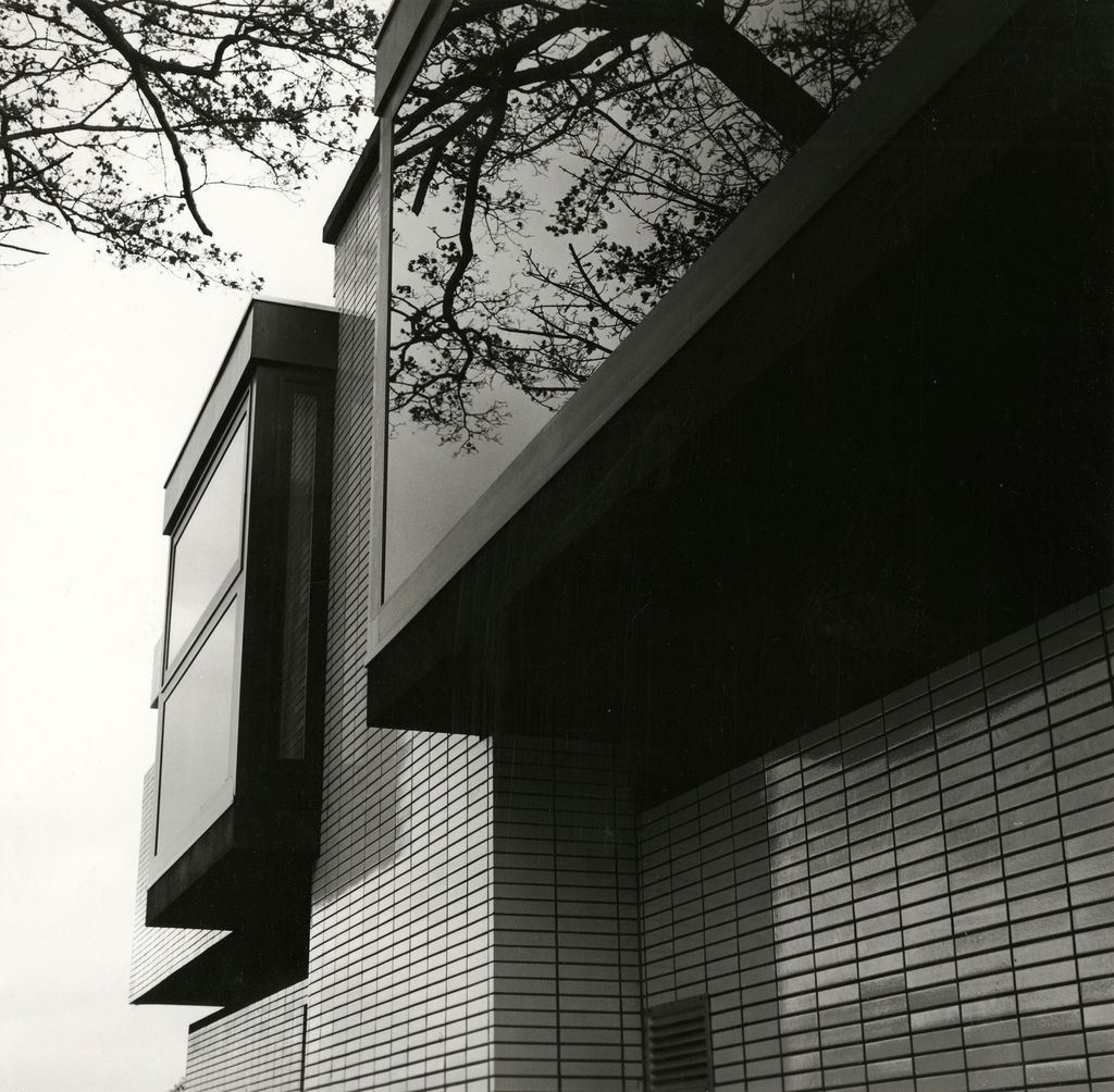 Image may contain Plant and Tree