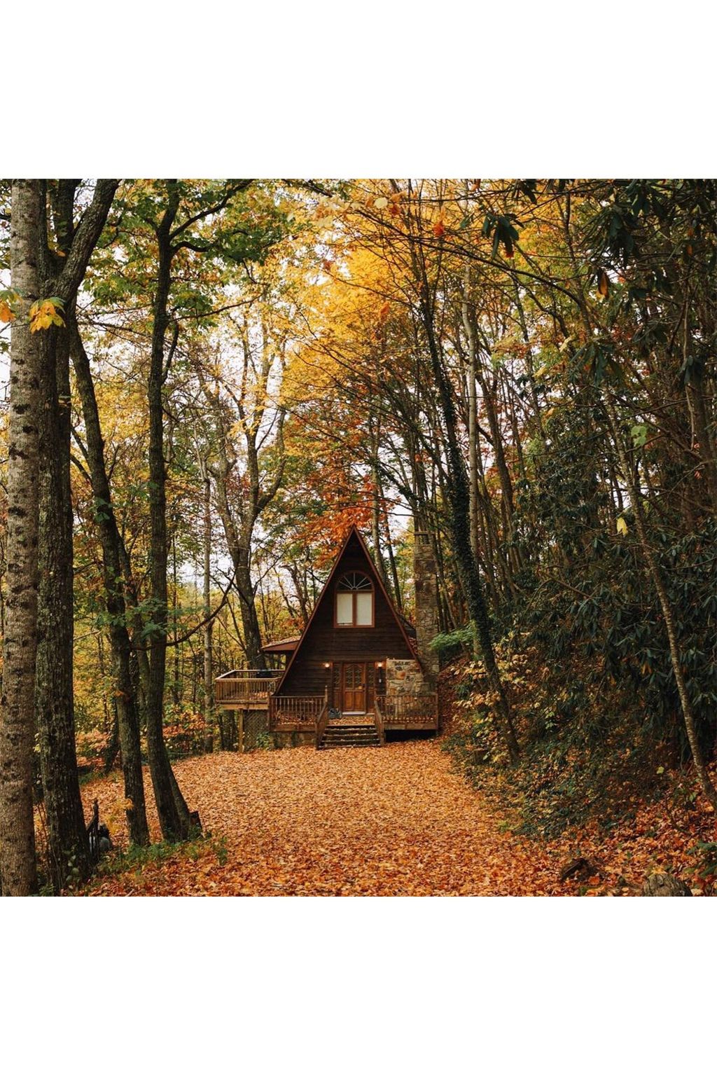 coreywolfenbarger The Most Beautiful Cabins on Instagram | Interiors