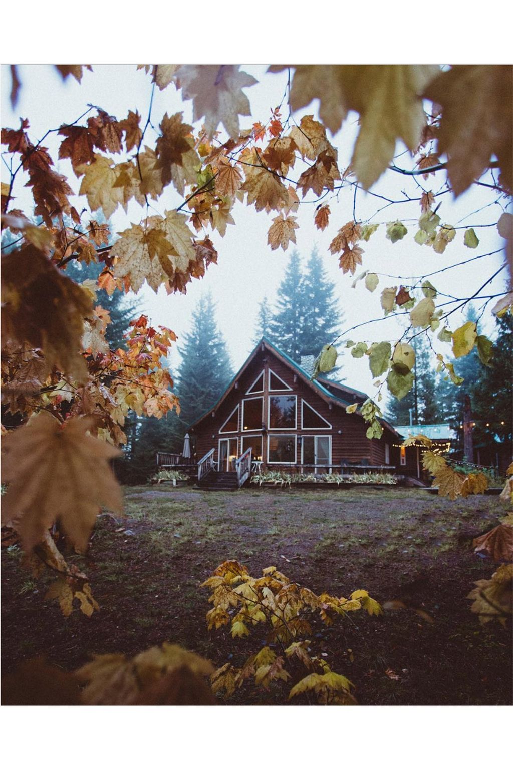 jeraldmcdermott The Most Beautiful Cabins on Instagram | Interiors