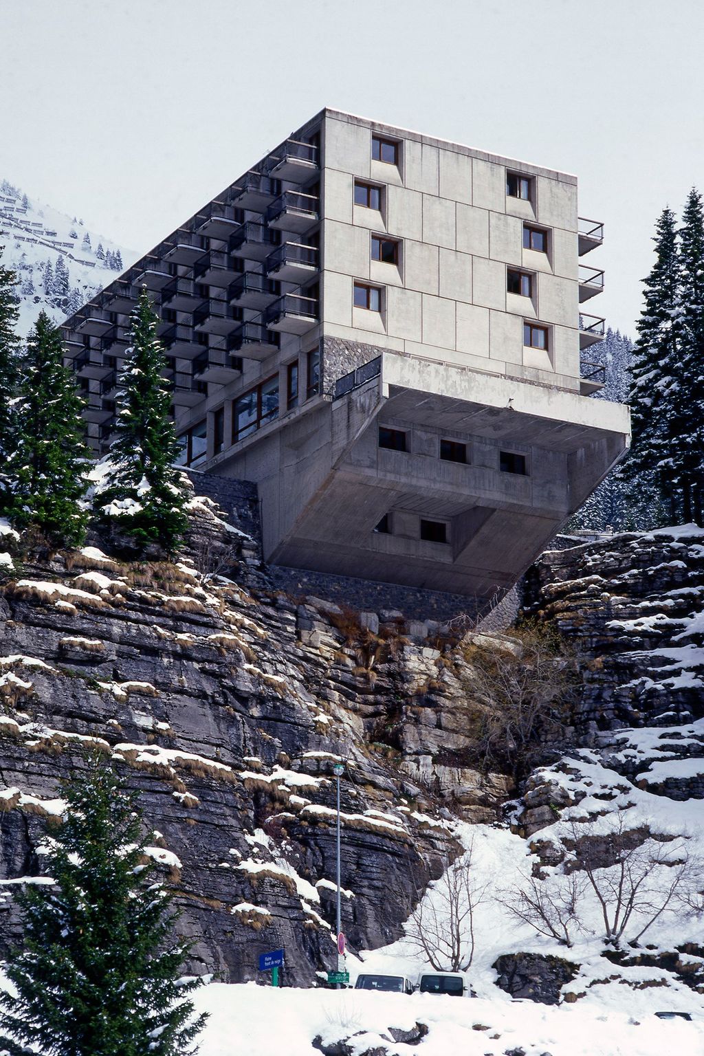 Image may contain Plant Tree Fir Abies Conifer Pine and Spruce