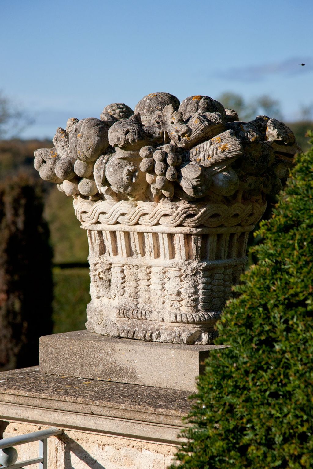 Image may contain Plant and Sphere