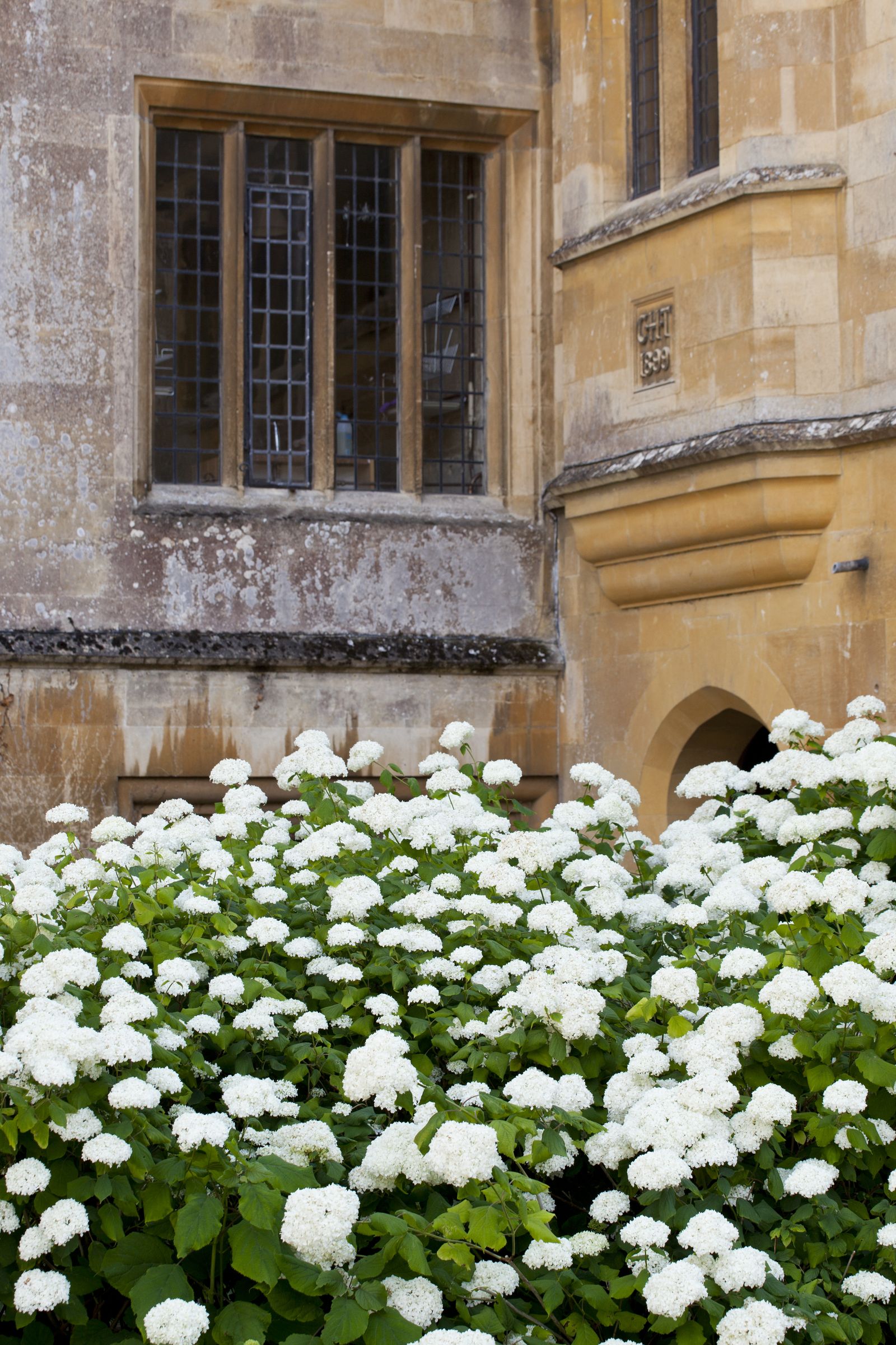 National Trust gardens