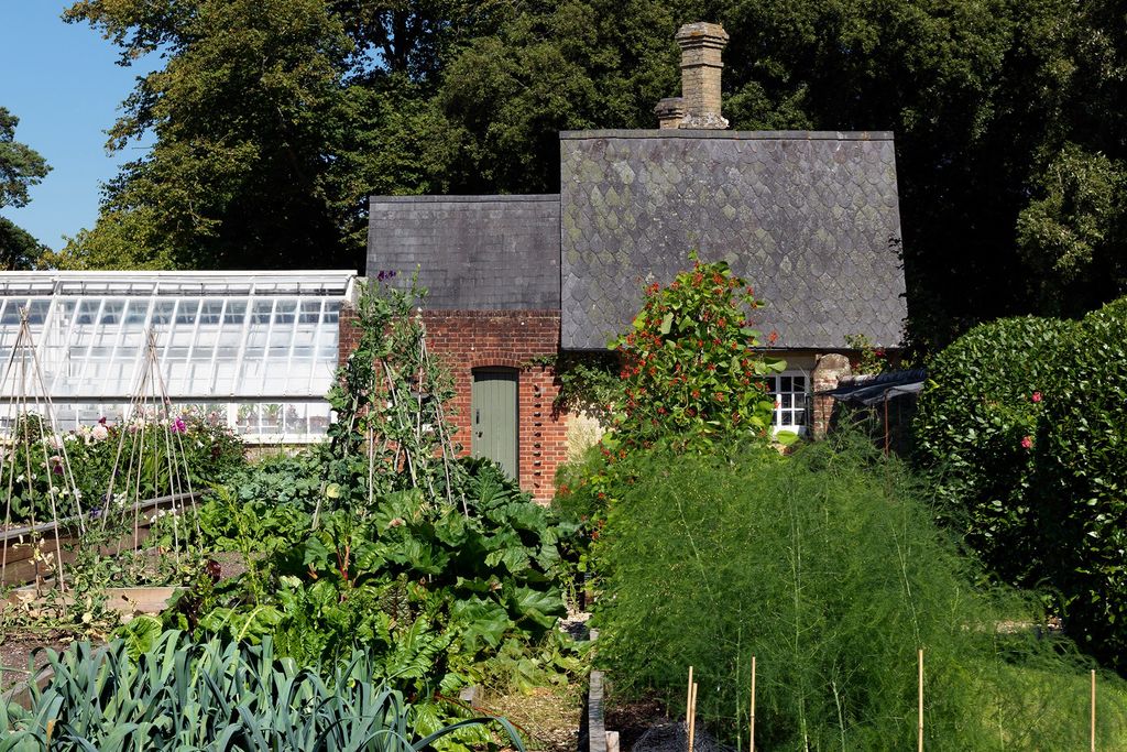 Image may contain Vase Plant Pottery Potted Plant Jar Outdoors Roof Planter Herbs and Nature