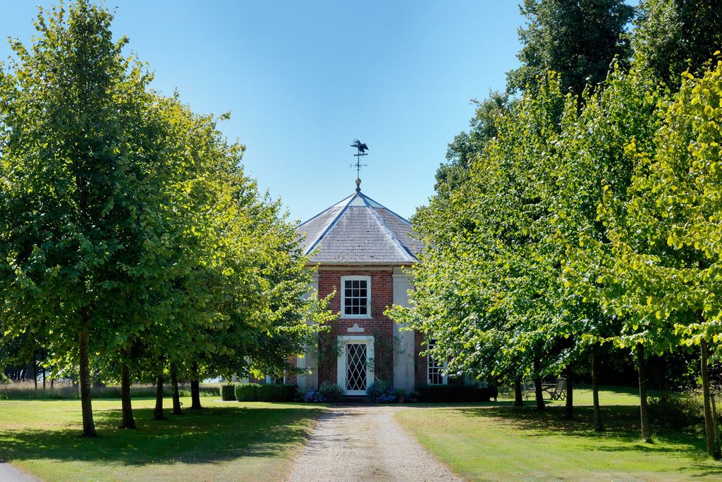 Image may contain Grass Plant Campus and Tree
