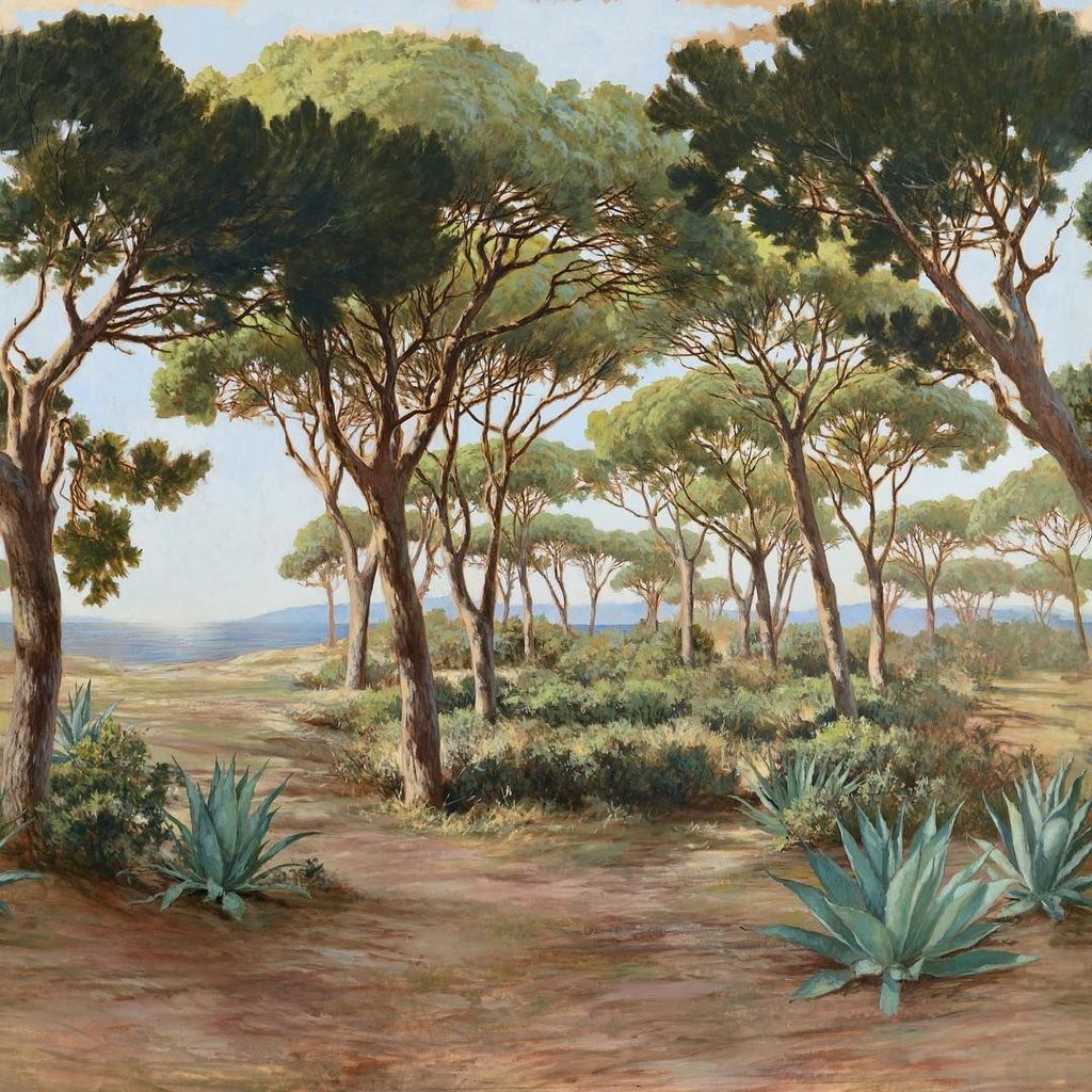 Image may contain Plant and Agavaceae