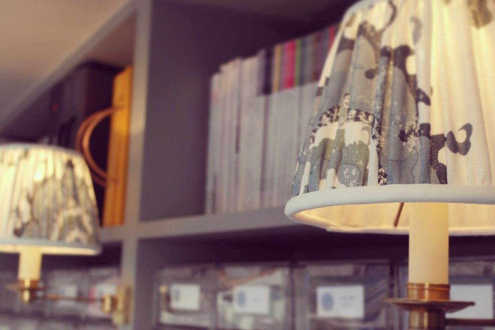 Image may contain Furniture Shelf Interior Design Indoors and Bookcase