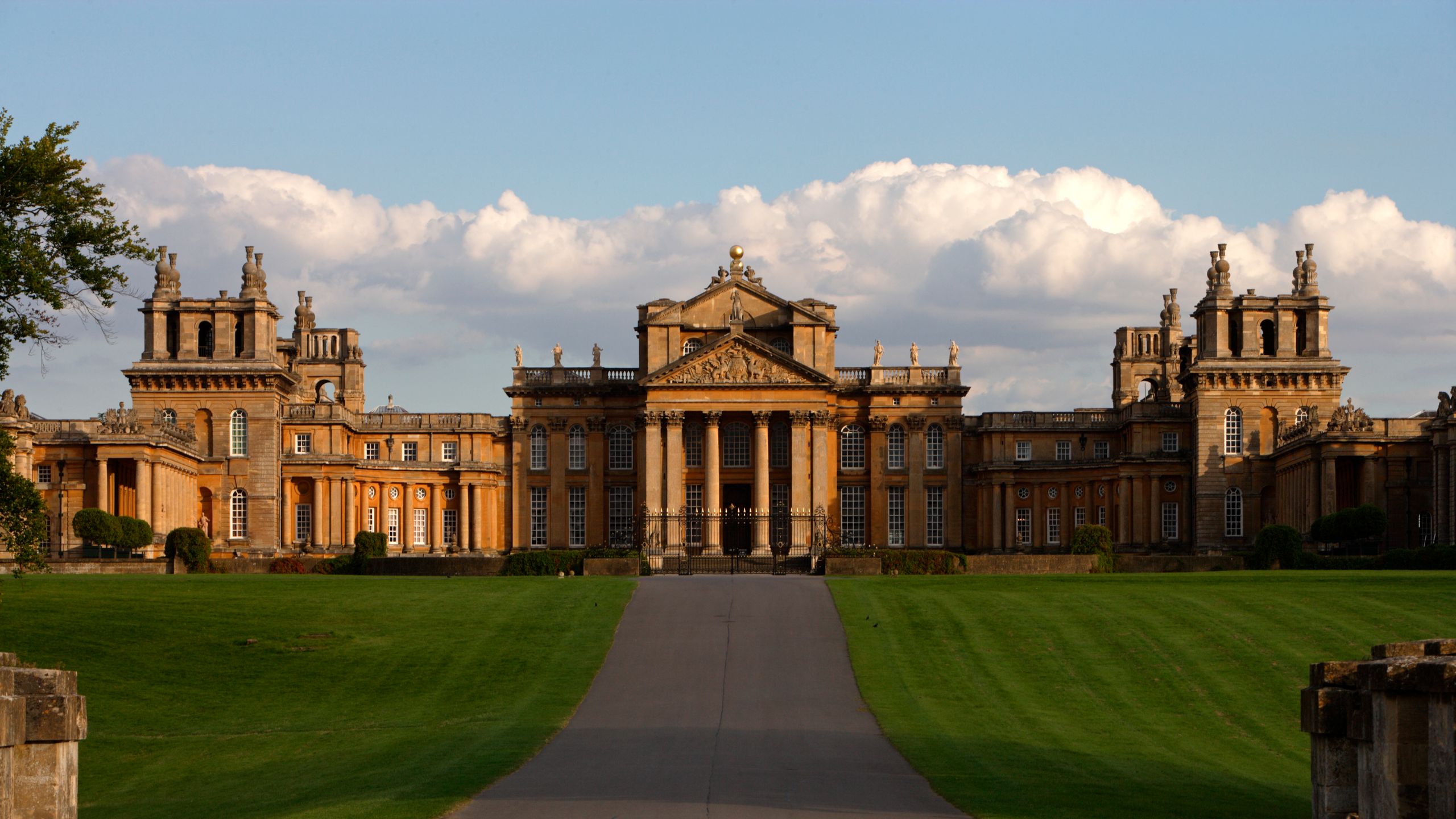 Image may contain College Campus Plant and Grass