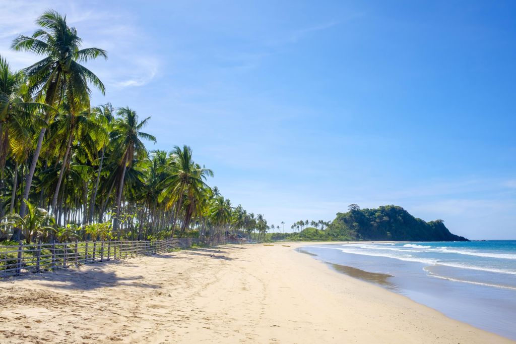 Image may contain Summer and Tropical