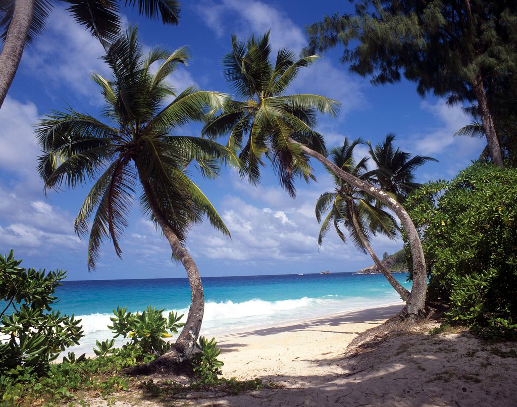 Image may contain Summer Tropical Land Outdoors and Nature