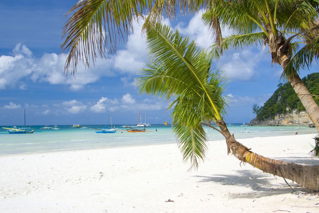 Image may contain Summer Tropical Vehicle Transportation and Boat