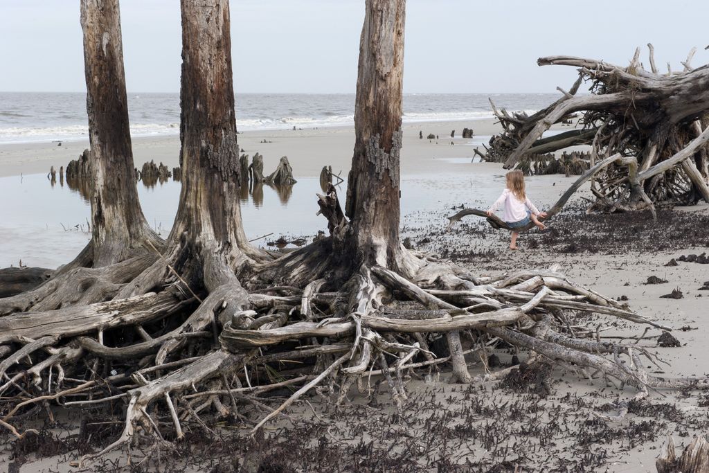 Image may contain Wood Driftwood Human and Person