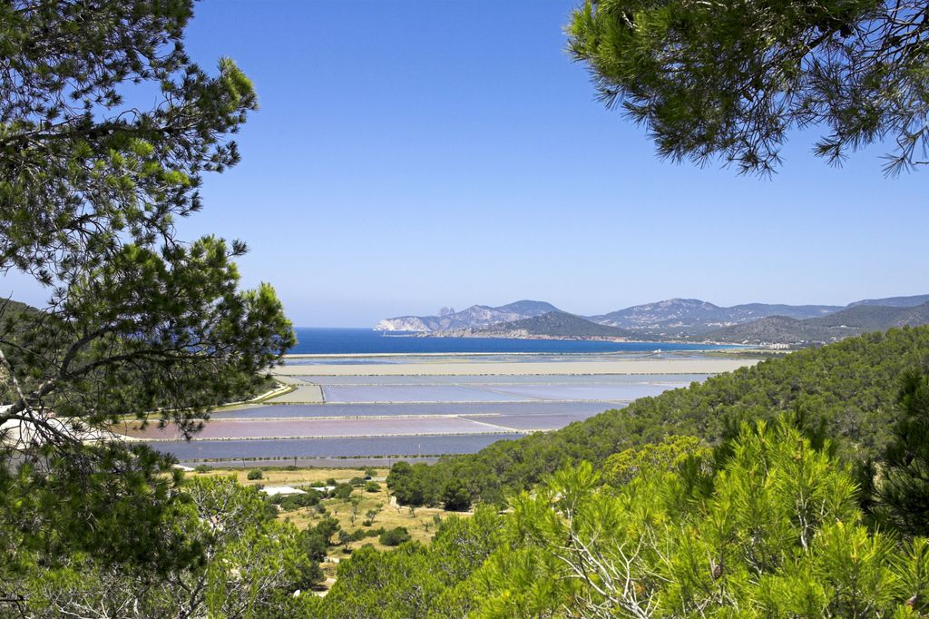 Located at the southern tip of the island is the vibrant Las Salinas beach which is perfect for the tourist looking for...
