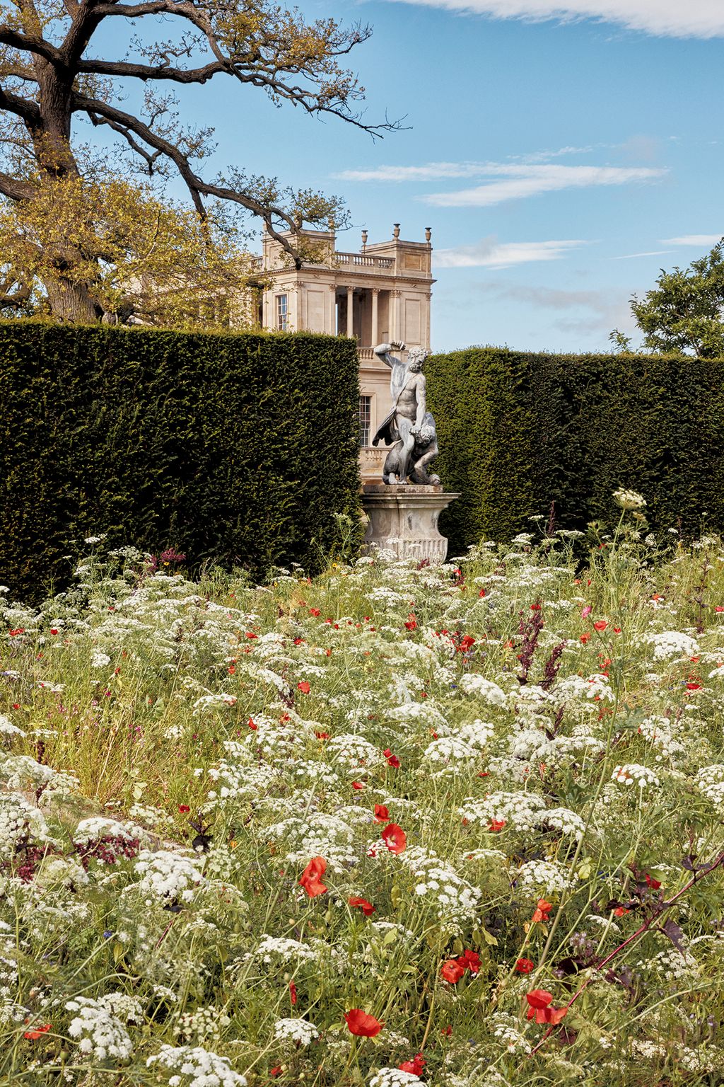 Image may contain Plant