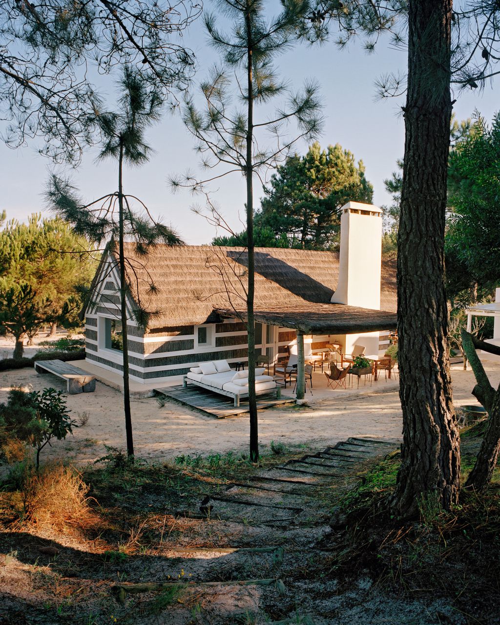 Image may contain Tree Plant Path Walkway Flagstone and Outdoors