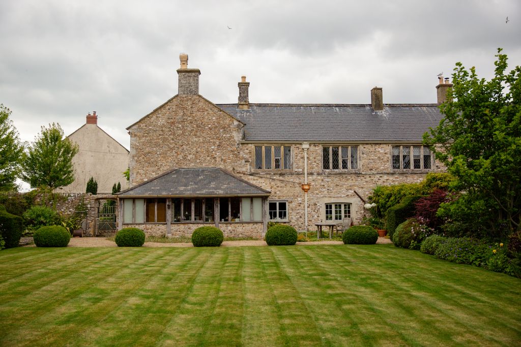 Image may contain Plant Grass and Lawn