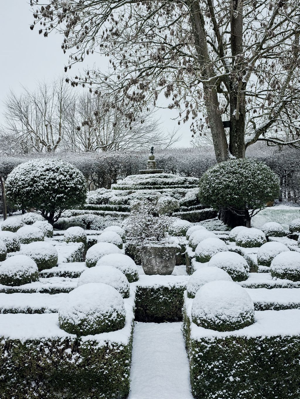 Two domed Portuguese laurels at the end of a box maze frame a view of the Monkey Mount topped with a statue of a monkey.