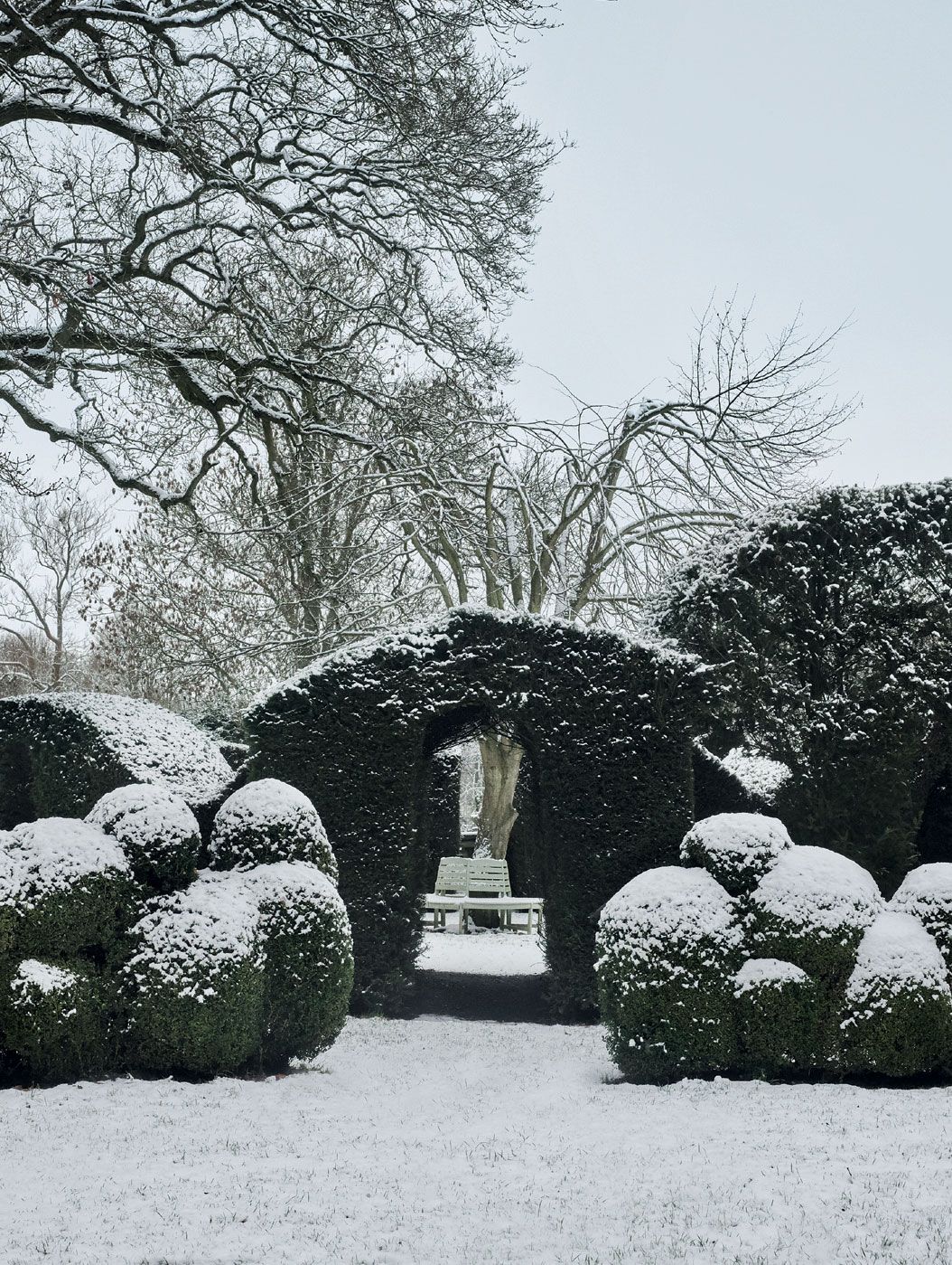 Image may contain Outdoors Nature Snow and Winter