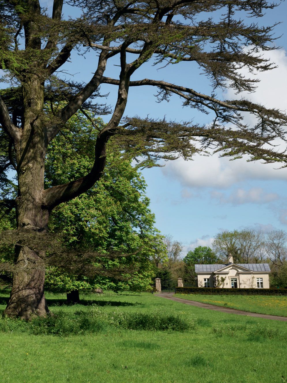 Image may contain Tree Plant Tree Trunk Outdoors Nature Housing Building Countryside and Grass