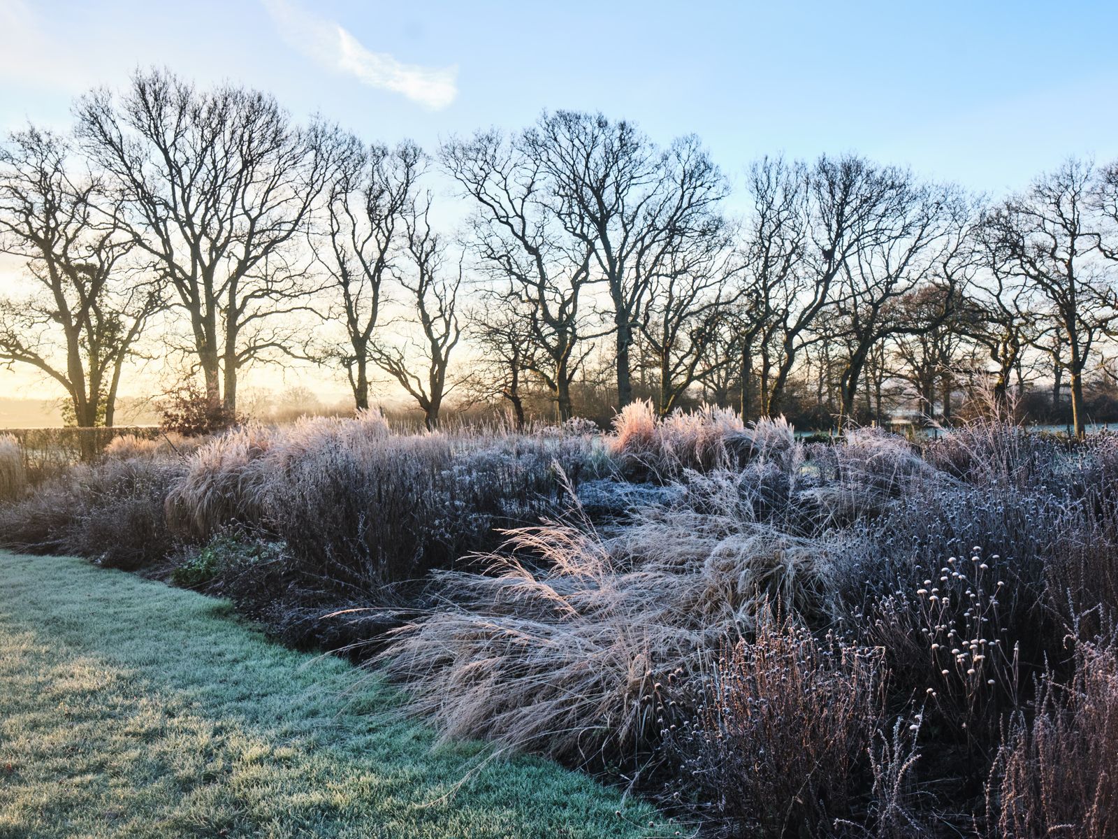Ornamental grasses are interspersed with perennial seed heads offering contrasting shapes and textures