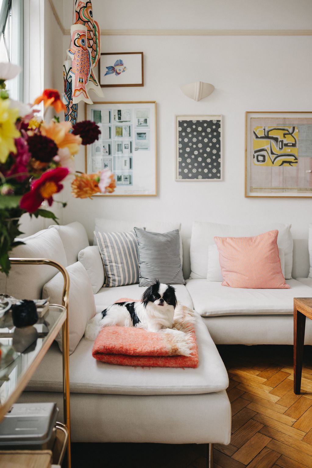 Yuko the dog in Alfred Bramsen's flat.