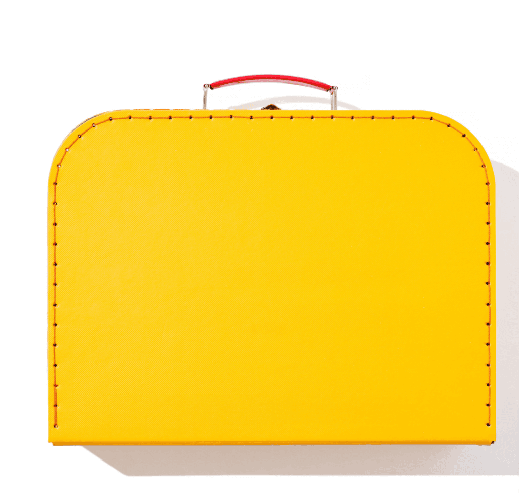 Image may contain Luggage and Suitcase