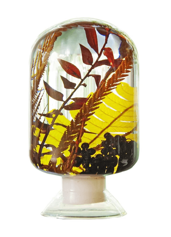 Image may contain Jar Fruit Plant Food Pineapple Pottery and Vase