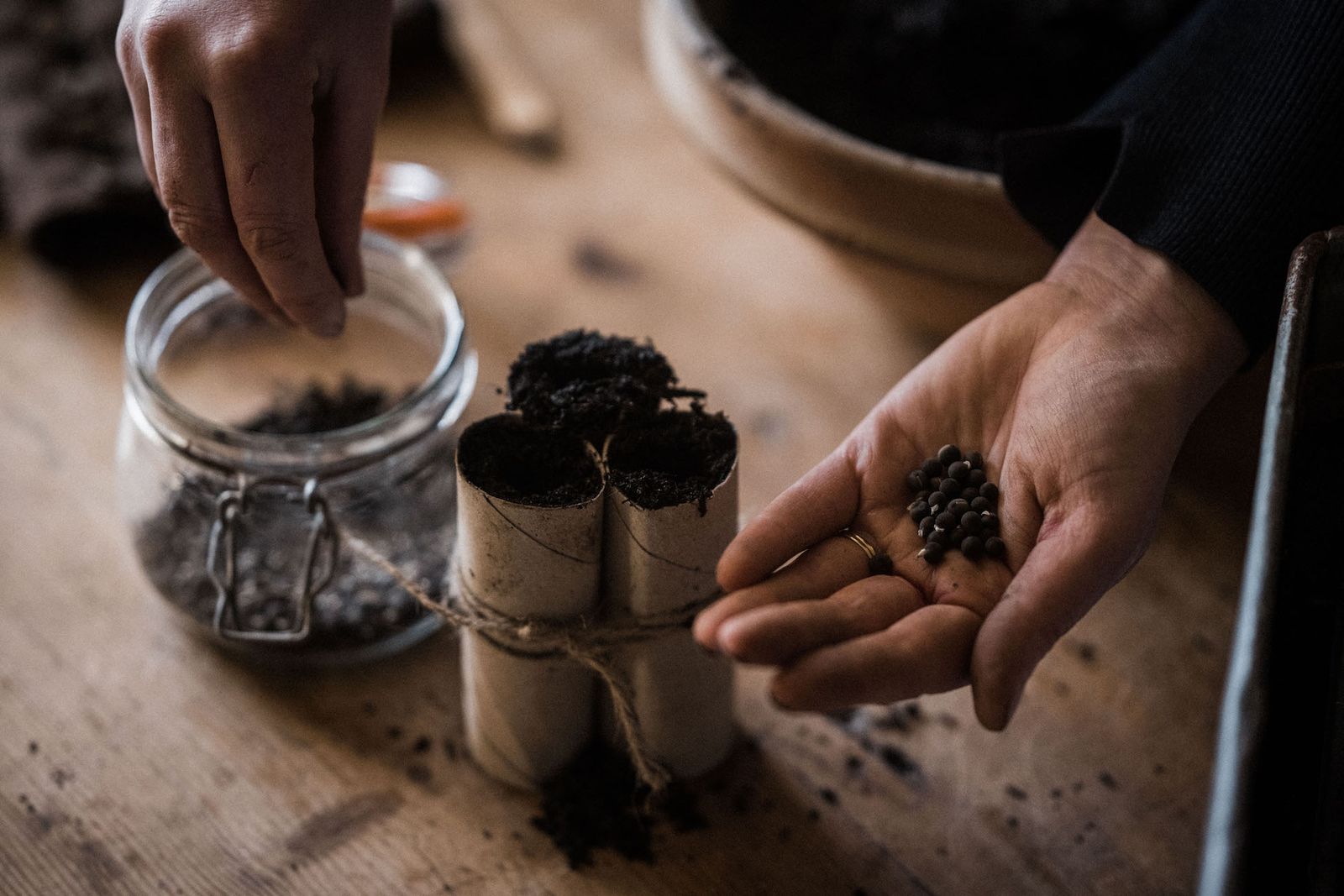 How to sow sweet peas