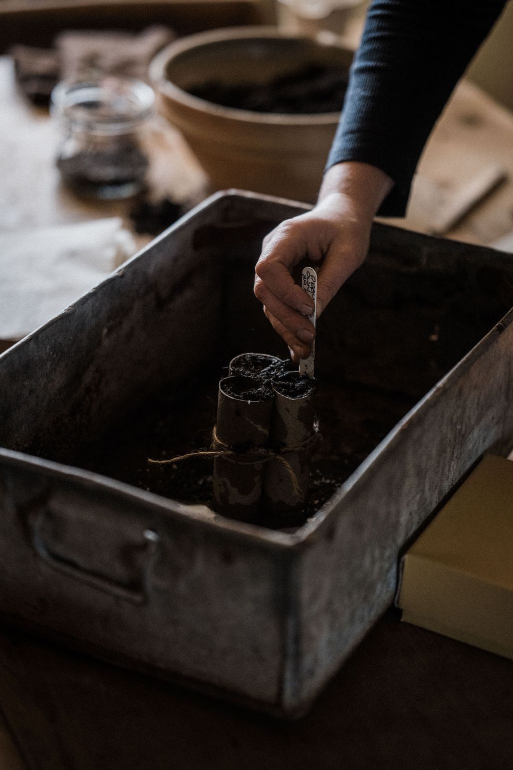 Image may contain Human Person and Plant