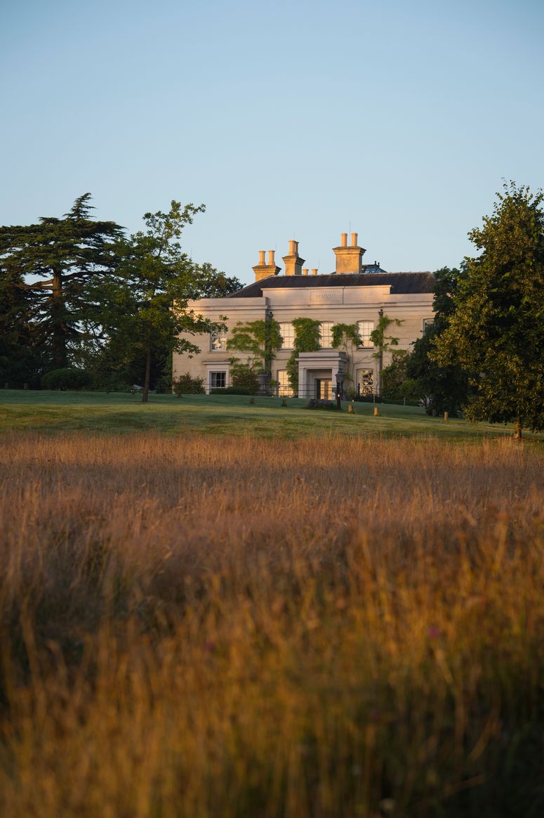 Image may contain: Grass, Plant, Field, Outdoors, Lawn, Grassland, and Tree