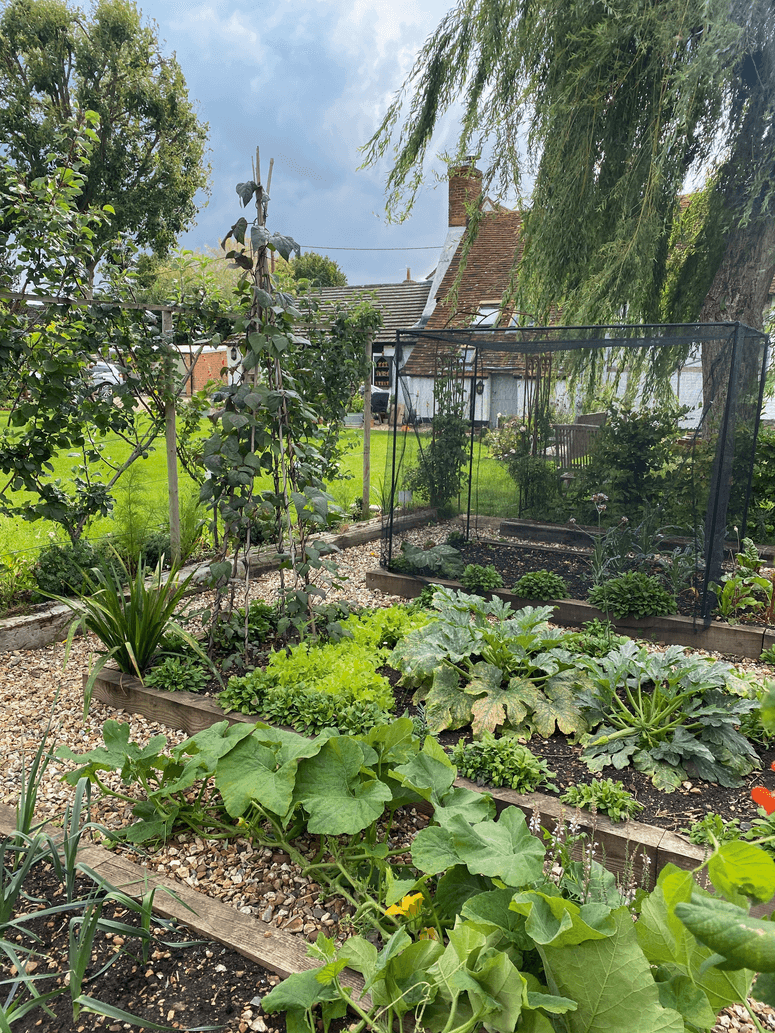 Image may contain: Outdoors, Garden, Arbour, and Plant