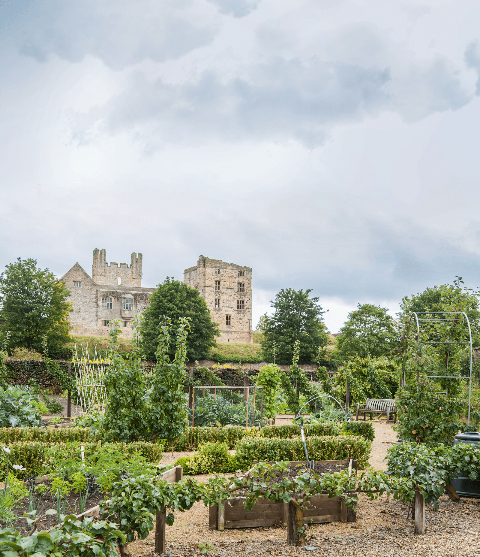 Image may contain Outdoors Garden Plant and Arbour