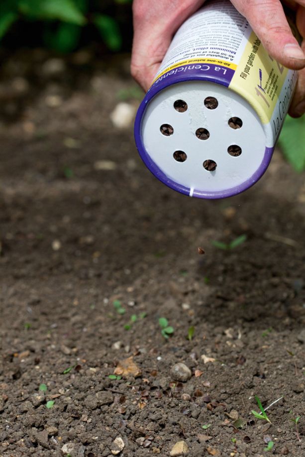 Image may contain Human Person Tin and Can