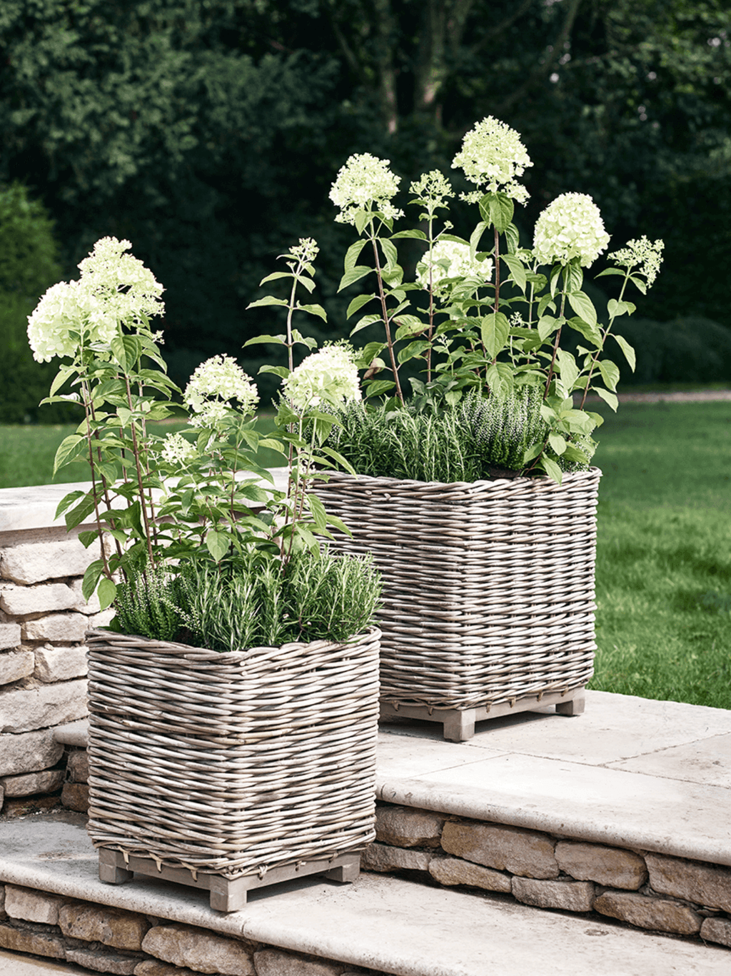 Image may contain Plant Basket Pottery Vase Jar Flower and Blossom