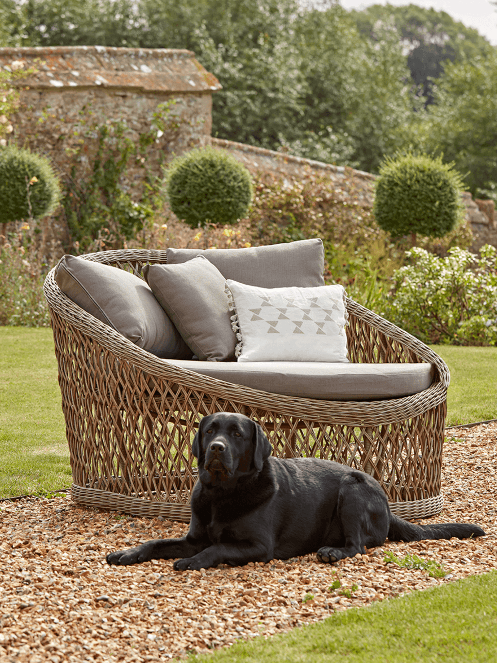 Image may contain Furniture Couch Animal Dog Mammal Pet Canine Bush Vegetation Plant and Grass