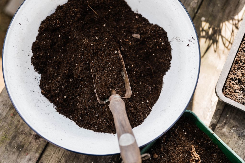 Image may contain Soil