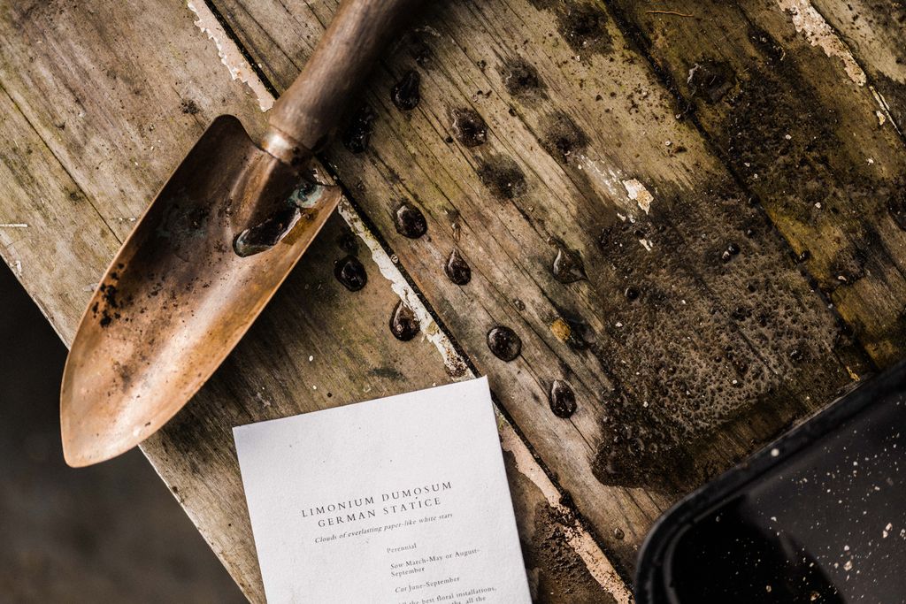 If the seeds dont require light to germinate  I tuck the trays into compost bags and put them in a warm place. The black...