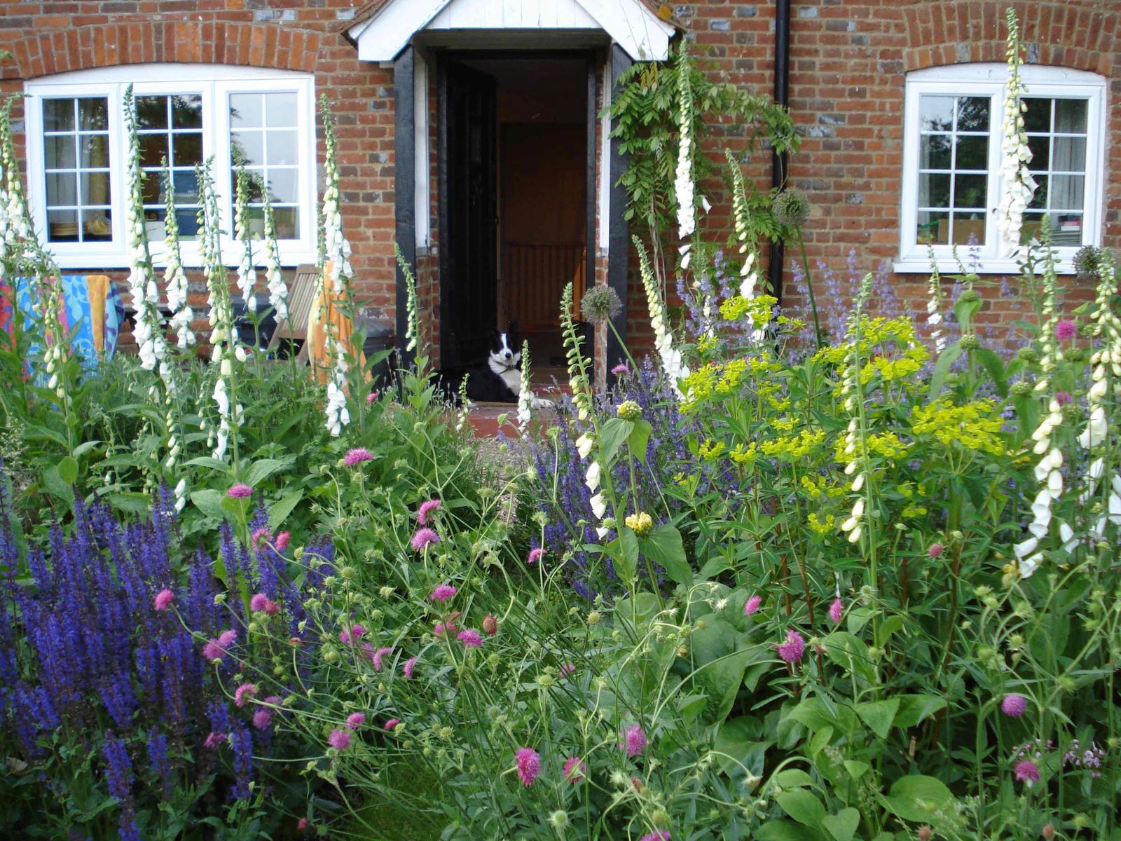 Image may contain Brick Plant Vase Pottery Potted Plant Jar Flower Geranium Blossom Outdoors Planter and Herbs
