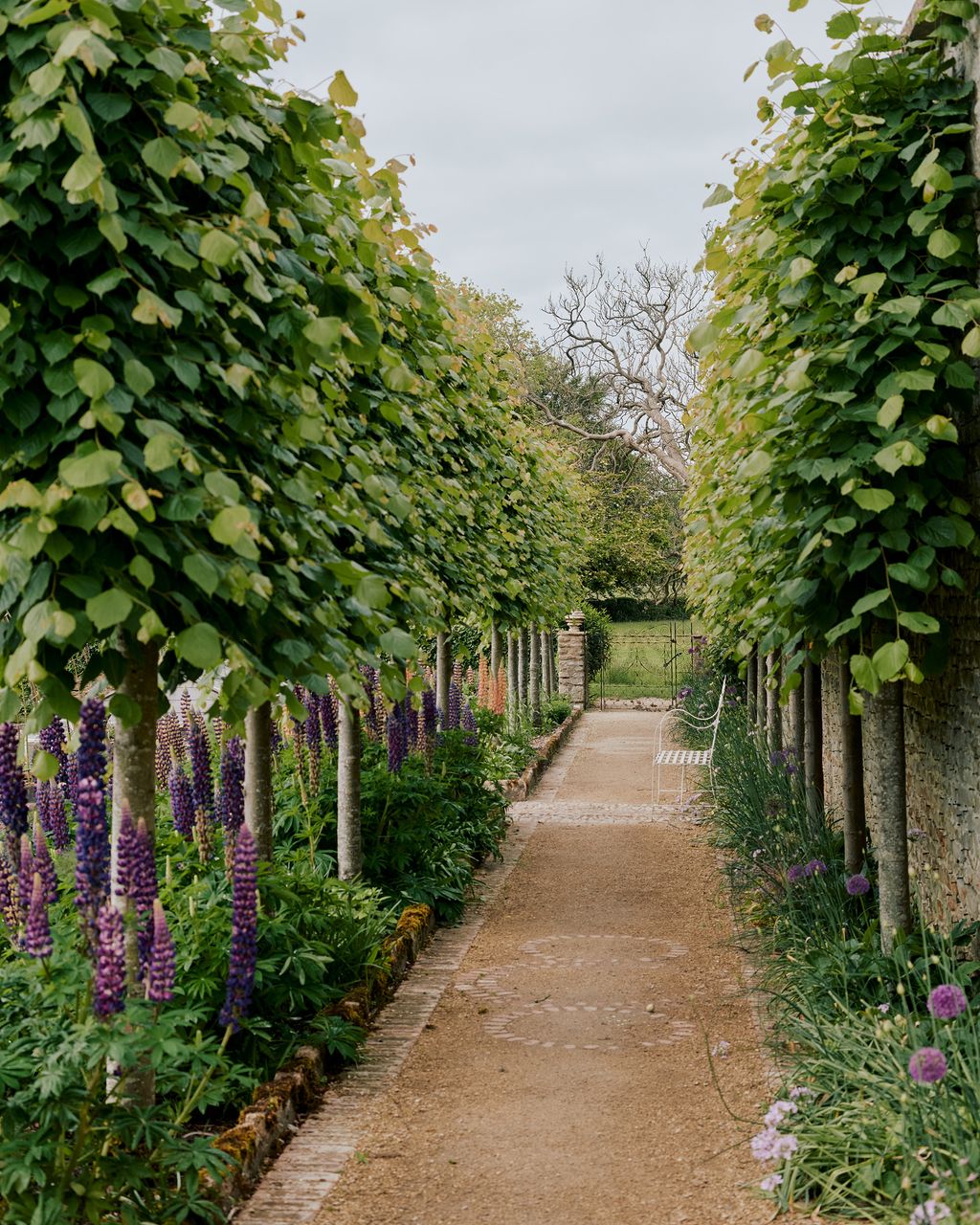 Image may contain Garden Arbour Outdoors Plant Flower Blossom and Nature