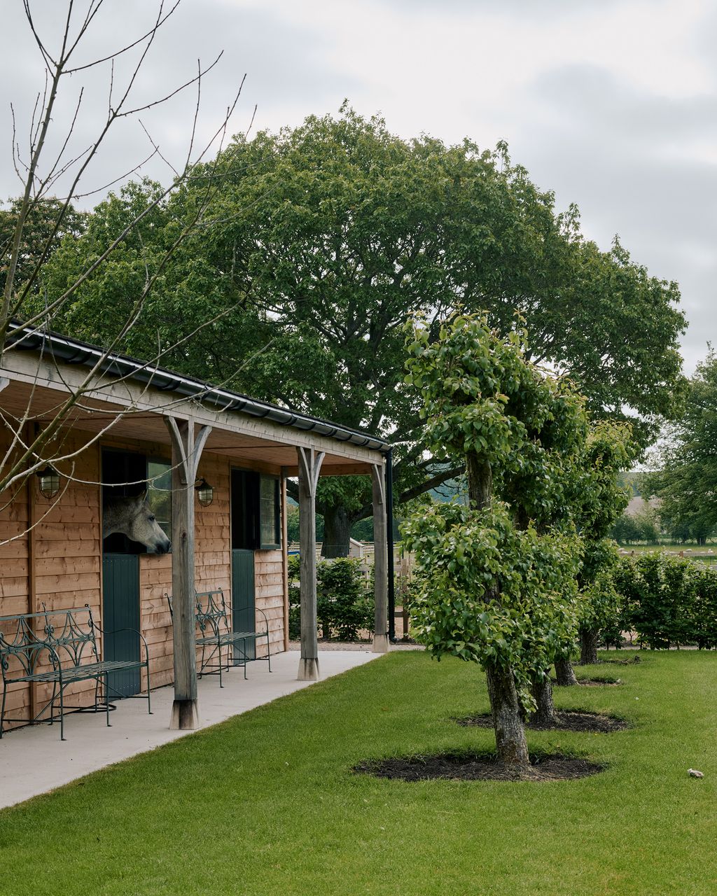 Image may contain Porch Patio Pergola Plant Grass and Outdoors