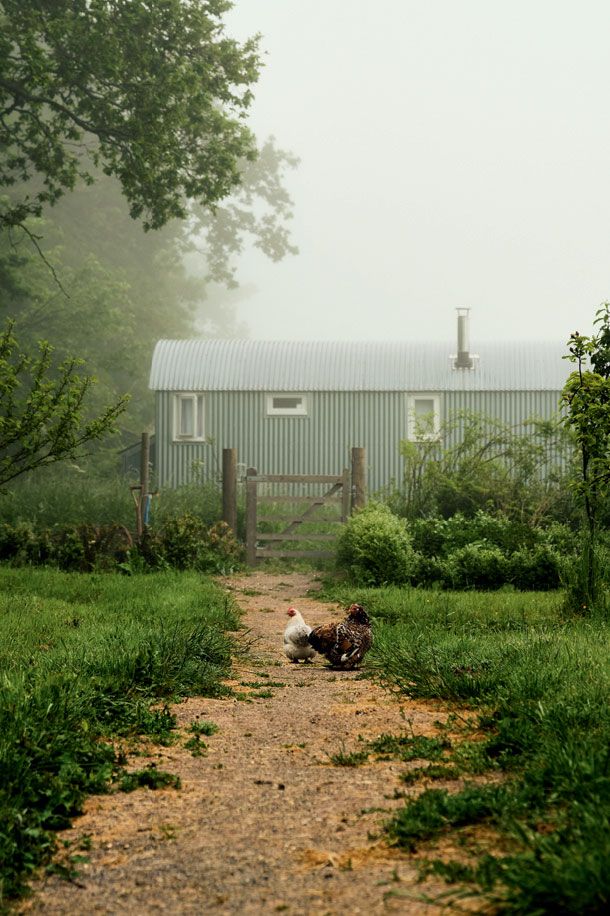 Image may contain Nature Outdoors Shelter Countryside Rural Building Yard Plant Grass Vase and Pottery
