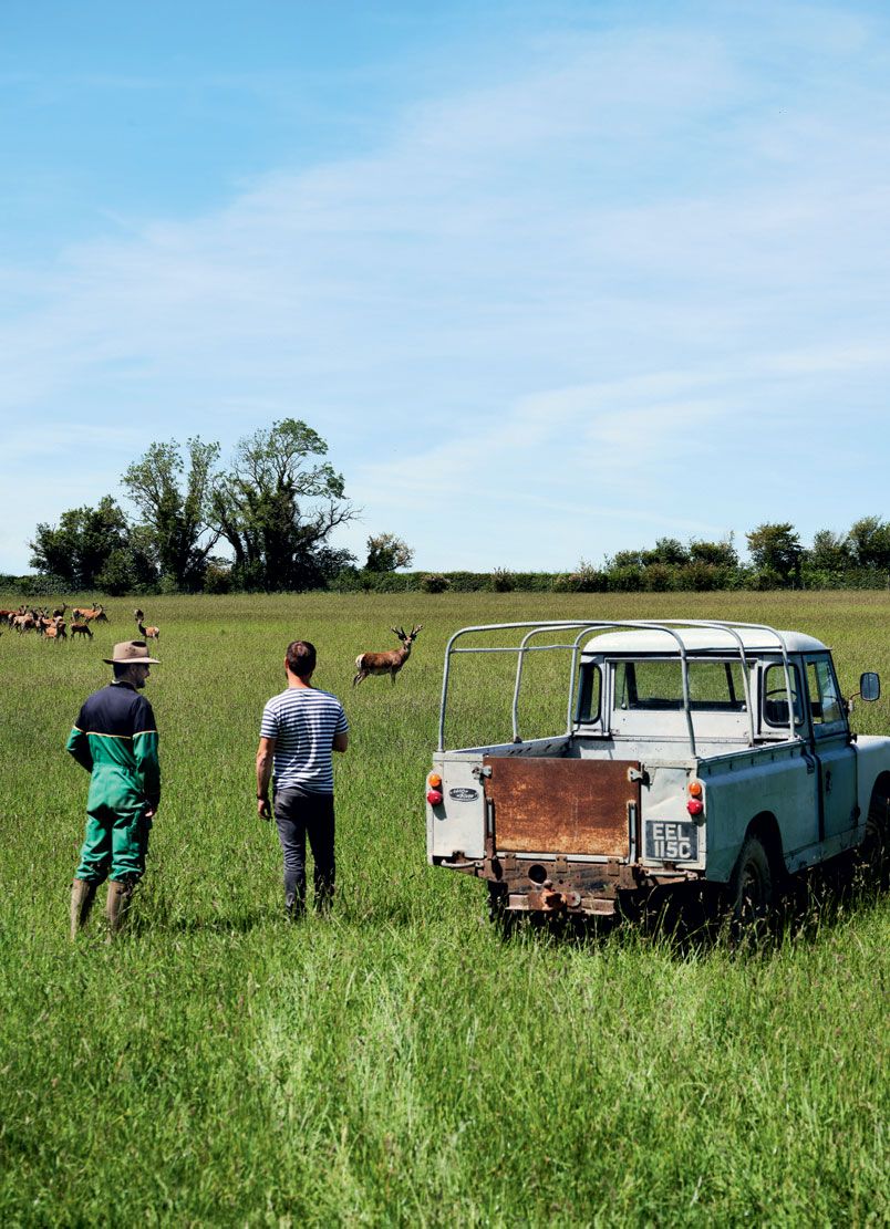 Warner who assists him with the deer handling