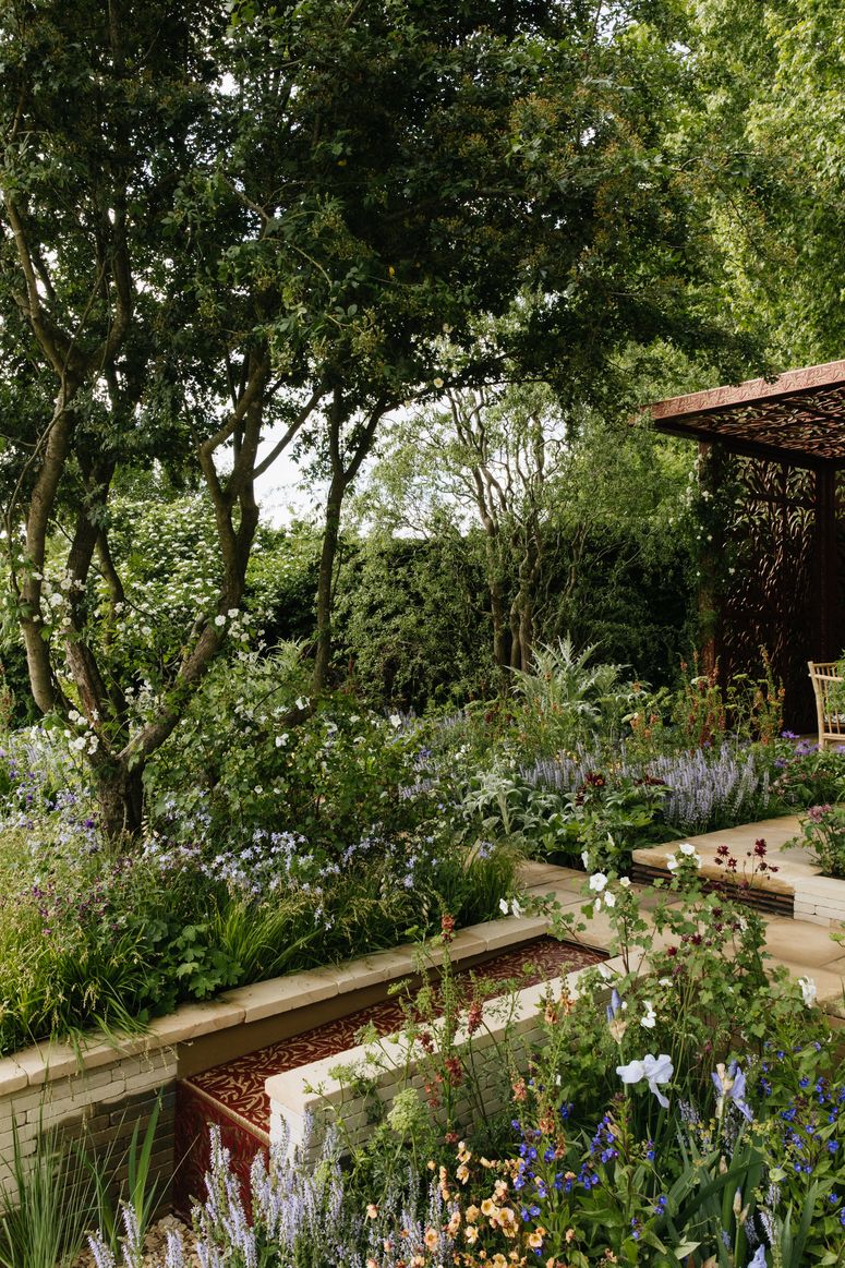 Image may contain: Outdoors, Garden, Vase, Plant, Pottery, Potted Plant, Jar, and Patio