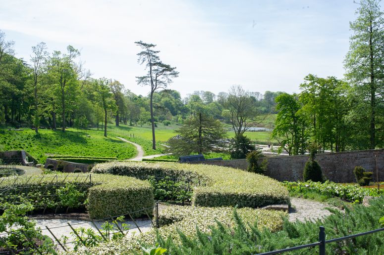 Image may contain: Outdoors, Plant, and Garden