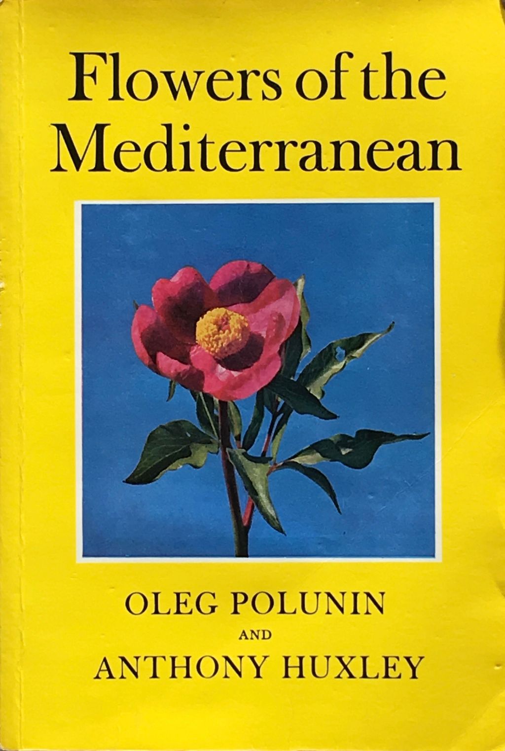 Image may contain Novel Book Plant Animal Bird Flower and Blossom