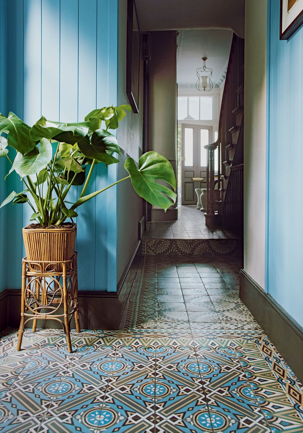 Image may contain Floor Flooring Plant Rug Interior Design and Indoors