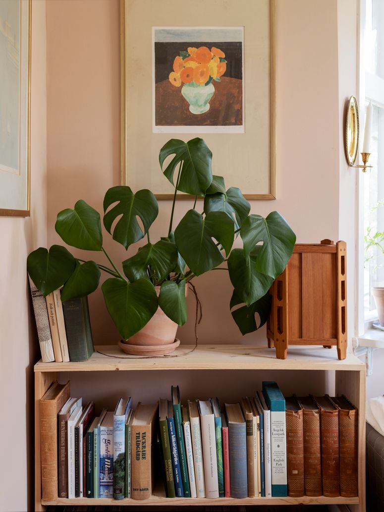 Image may contain: Furniture, Bookcase, Shelf, and Wood